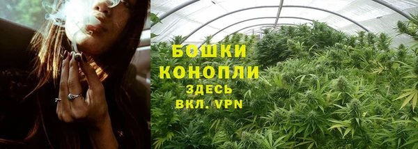 дурь Надым